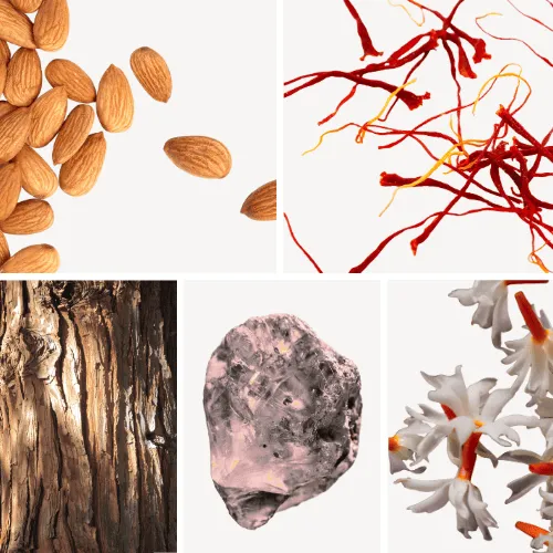 Duftnoten: Madeln, Safran, Zedernholz, Jasmin, (Ambroxan) Ambra